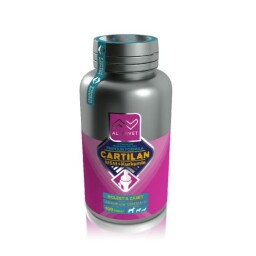 AV Cartilan MSM+Kurkumin - 100 tablet