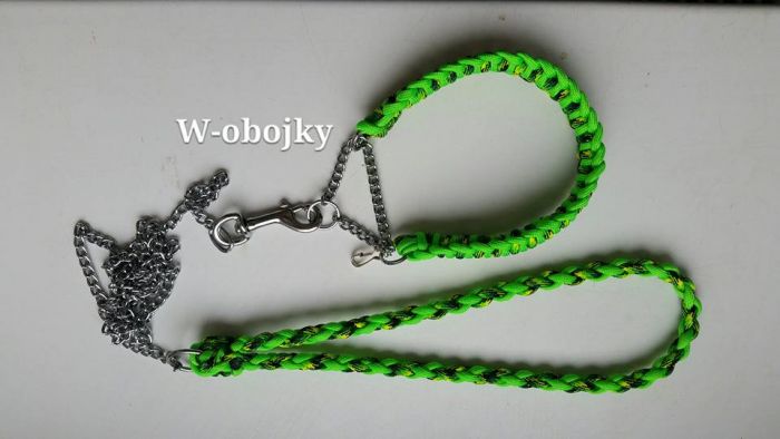 Polostahovací obojek s řetízkovým vodítkem pro slečnu BEG